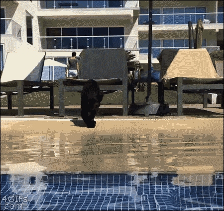 g-16.gif
