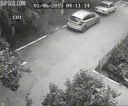 g-4.gif