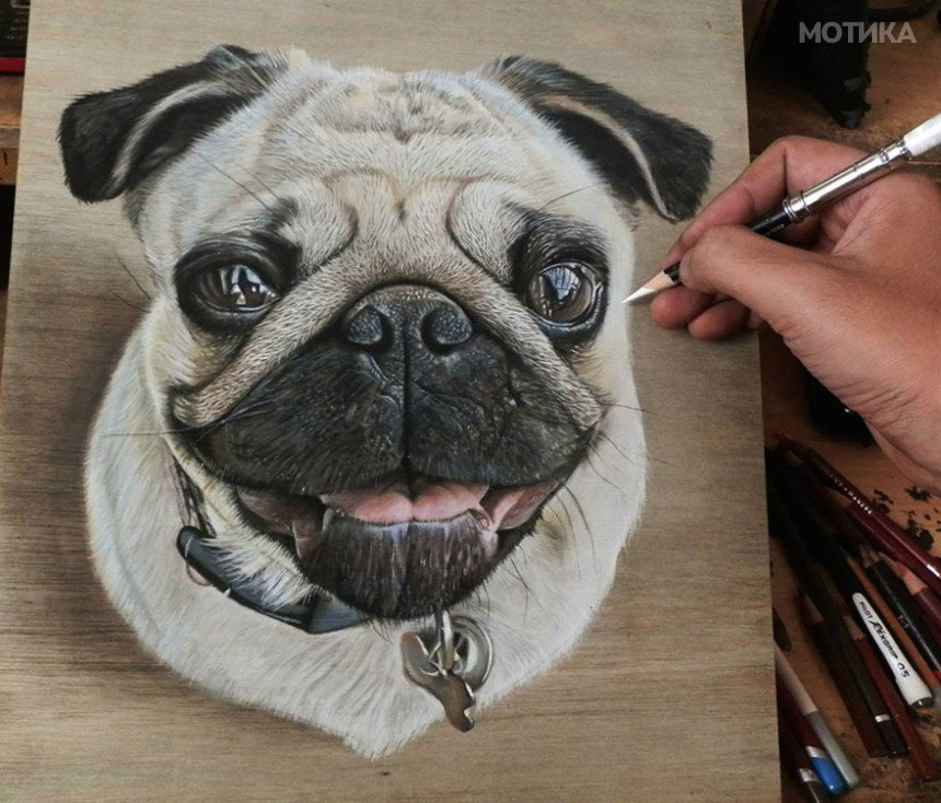 photorealistic-drawing-wood-ivan-hoo-1