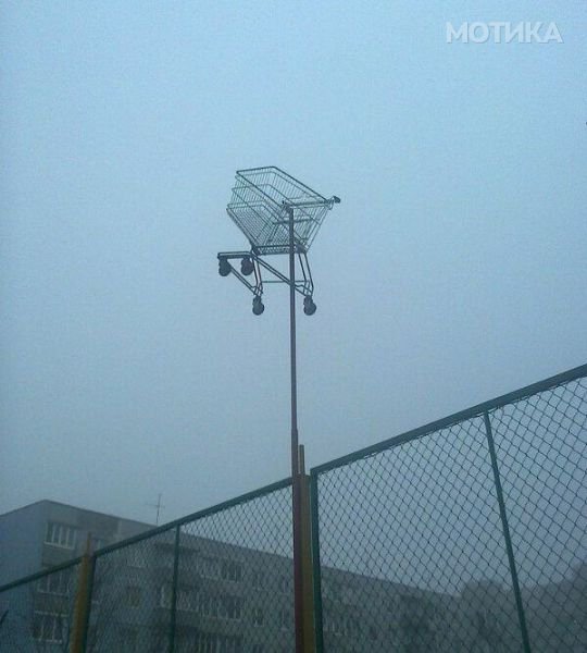 wtf (9)