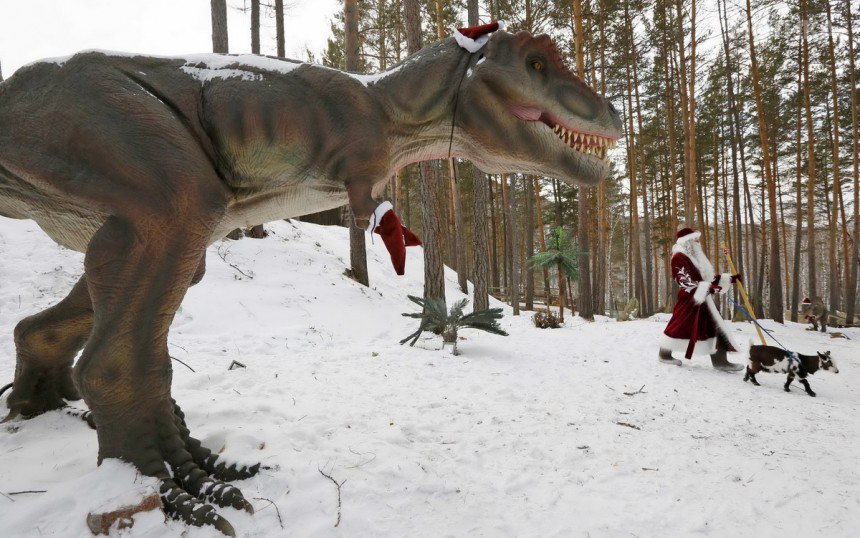 A man dressed as Father Frost, walks with Knopka, a Cameroon dwarf goat, through the "Dinosaurs Park" at the Royev Ruchey zoo in Krasnoyarsk