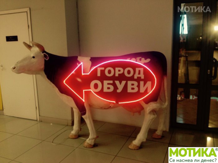 humor (38)