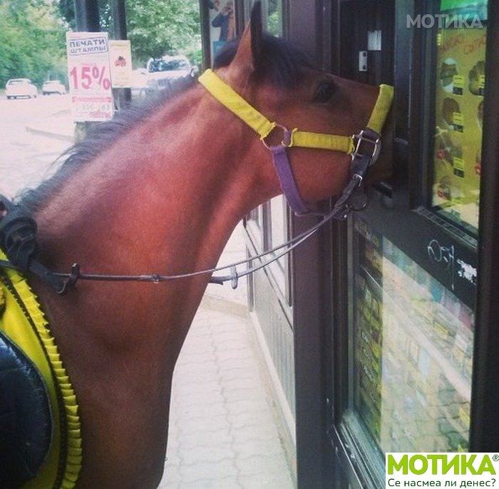 humor (57)