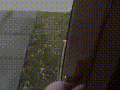 v (2)