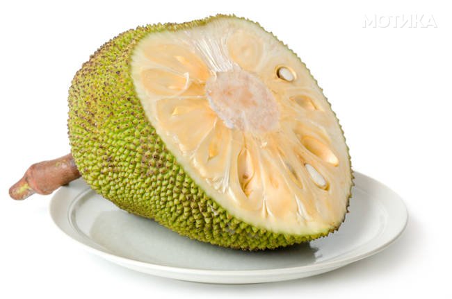 Jack-Fruit