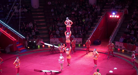 gif (11)