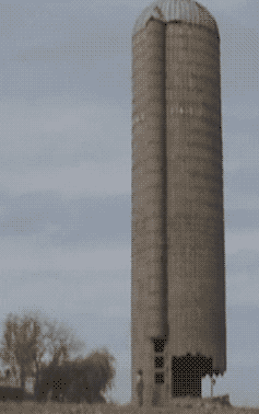 gif (5)