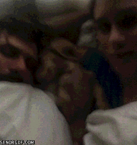 gif (6)