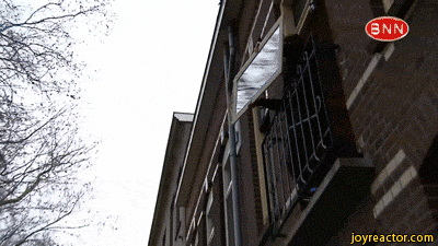 gif (15)