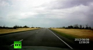 gif (4)