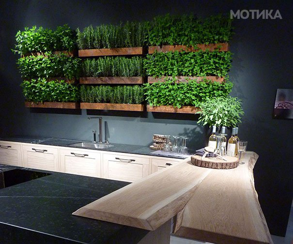 plants-green-interior-design-ideas-14