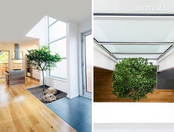 plants-green-interior-design-ideas-27