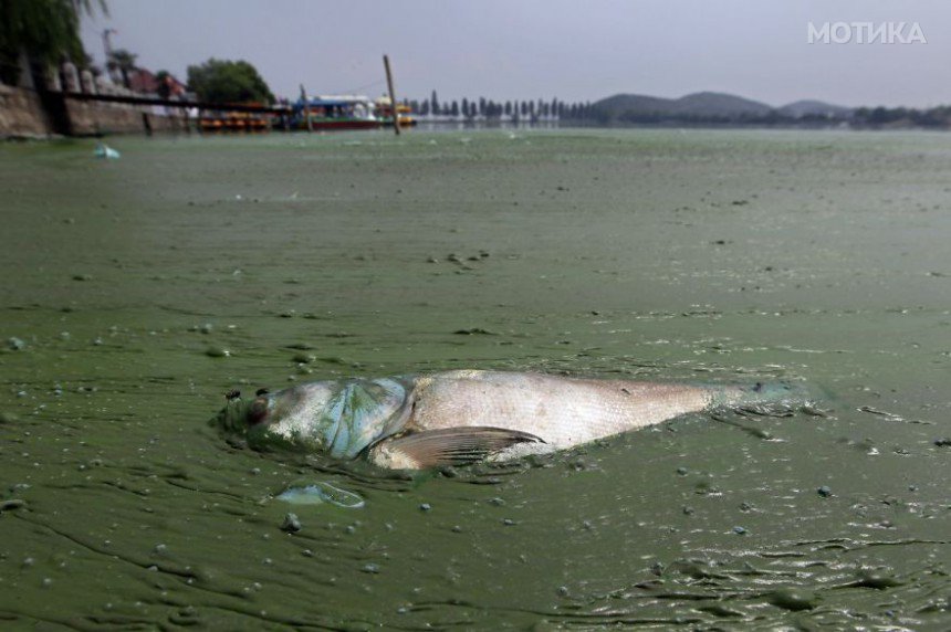 china-bad-pollution-climate-change-14__880