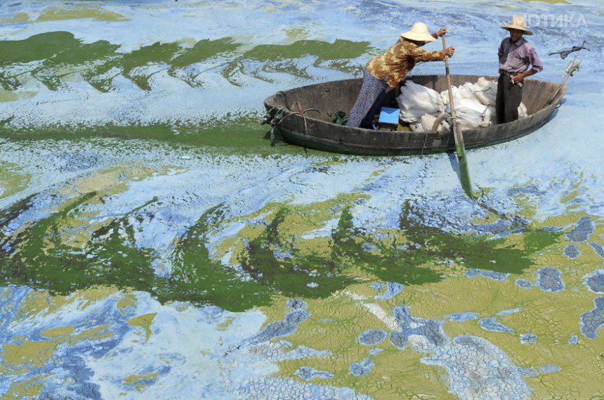 Fishermen row a boat in the algae-filled Chaohu Lake in Hefei, Anhui province