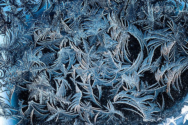 frozen-frosted-cars-111__605