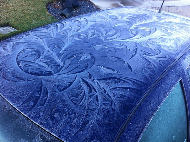 frozen-frosted-cars-161__605