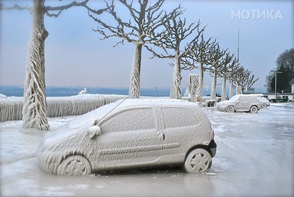 frozen-frosted-cars-81__605