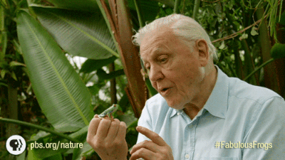 g (14)