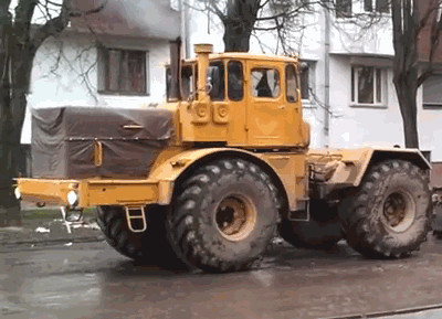 gif (2)