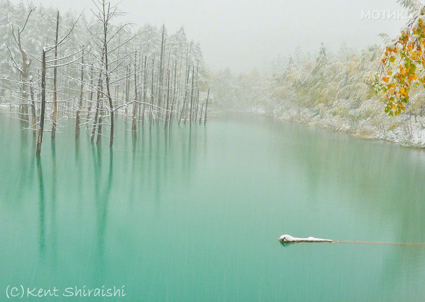 The-Most-Beautiful-Pond-in-the-World-__880