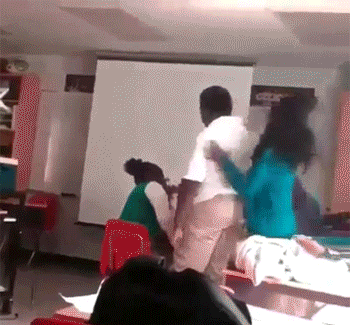 gif (22)