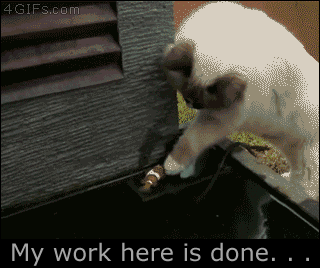 gif (5)