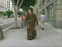 gif (15)