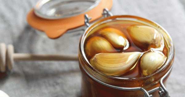 how-to-make-medicinal-garlic-honey-600x315