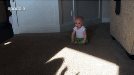 gif (2)