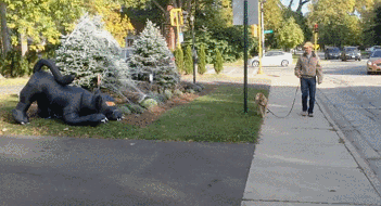gif (2)