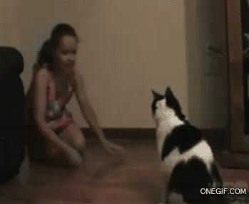 gif (5)