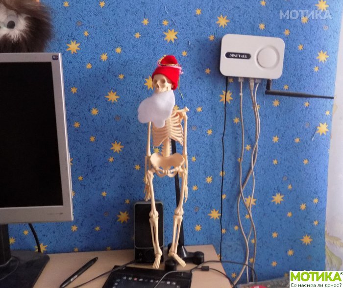 skeleti (11)