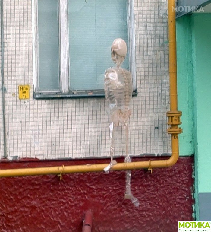 skeleti (14)