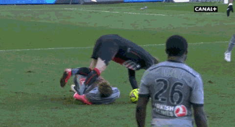 gif (2)