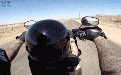 gif (5)