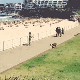 gif (12)