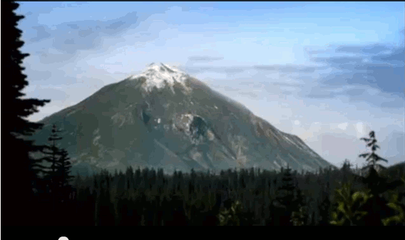 gif (20)