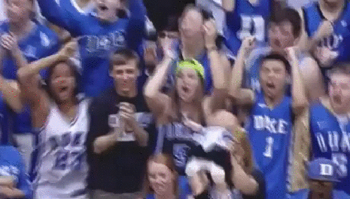 gif (13)