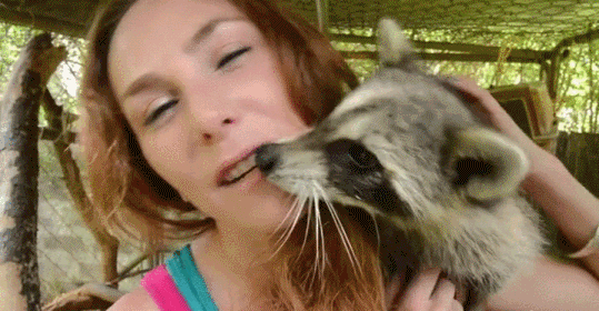 gif (15)