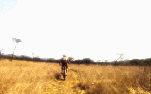 gif (4)