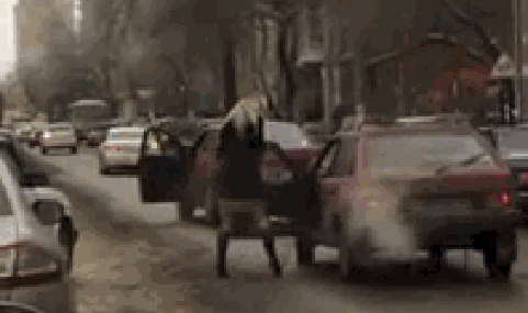 gif (5)