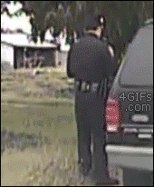 gi (2)