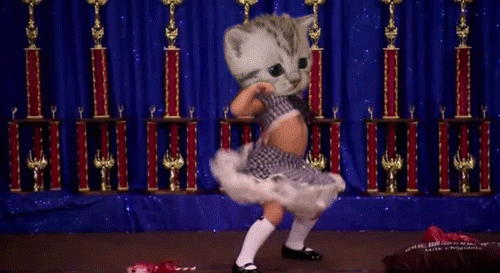 gif (11)