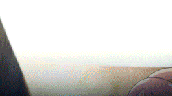gif (5)
