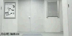 gif (6)