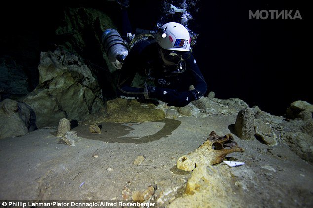 25E0B5CA00000578-2962025-Divers_discovered_found_the_fossils_sitting_on_the_silt_covered_-a-42_1424456902858