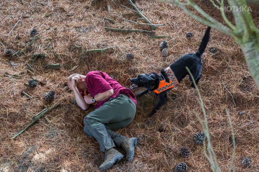 working-dog-photography-shepherds-realm-andrew-fladeboe-19