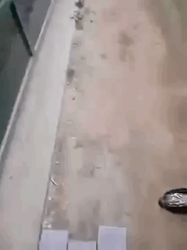 gif (22)