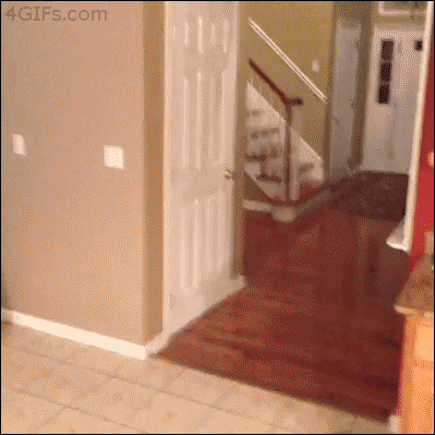 gif (29)