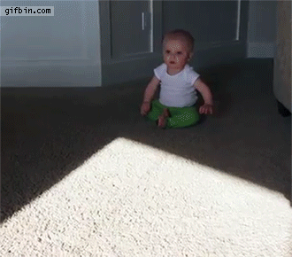 gif (5)